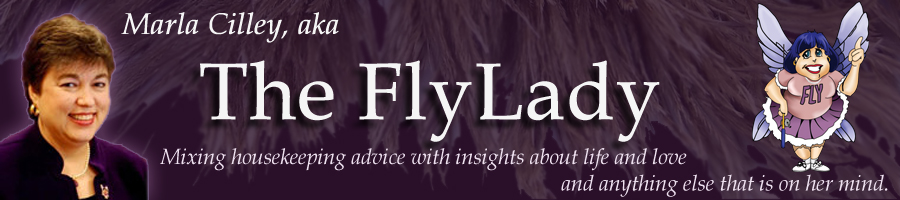 flylady2